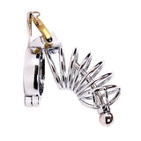 Chastity Cage With Urethral Sounding